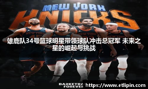雄鹿队34号篮球明星带领球队冲击总冠军 未来之星的崛起与挑战