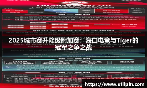 2025城市赛升降级附加赛：海口电竞与Tiger的冠军之争之战